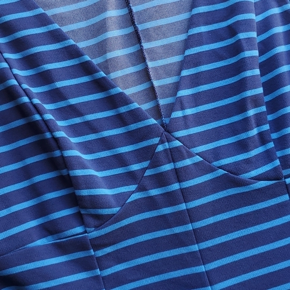 Peter Som Blue & Blue Striped Fit & Flare Dress 6 - Picture 3 of 6